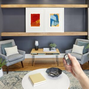 Alternative view of How to Hide Your TV