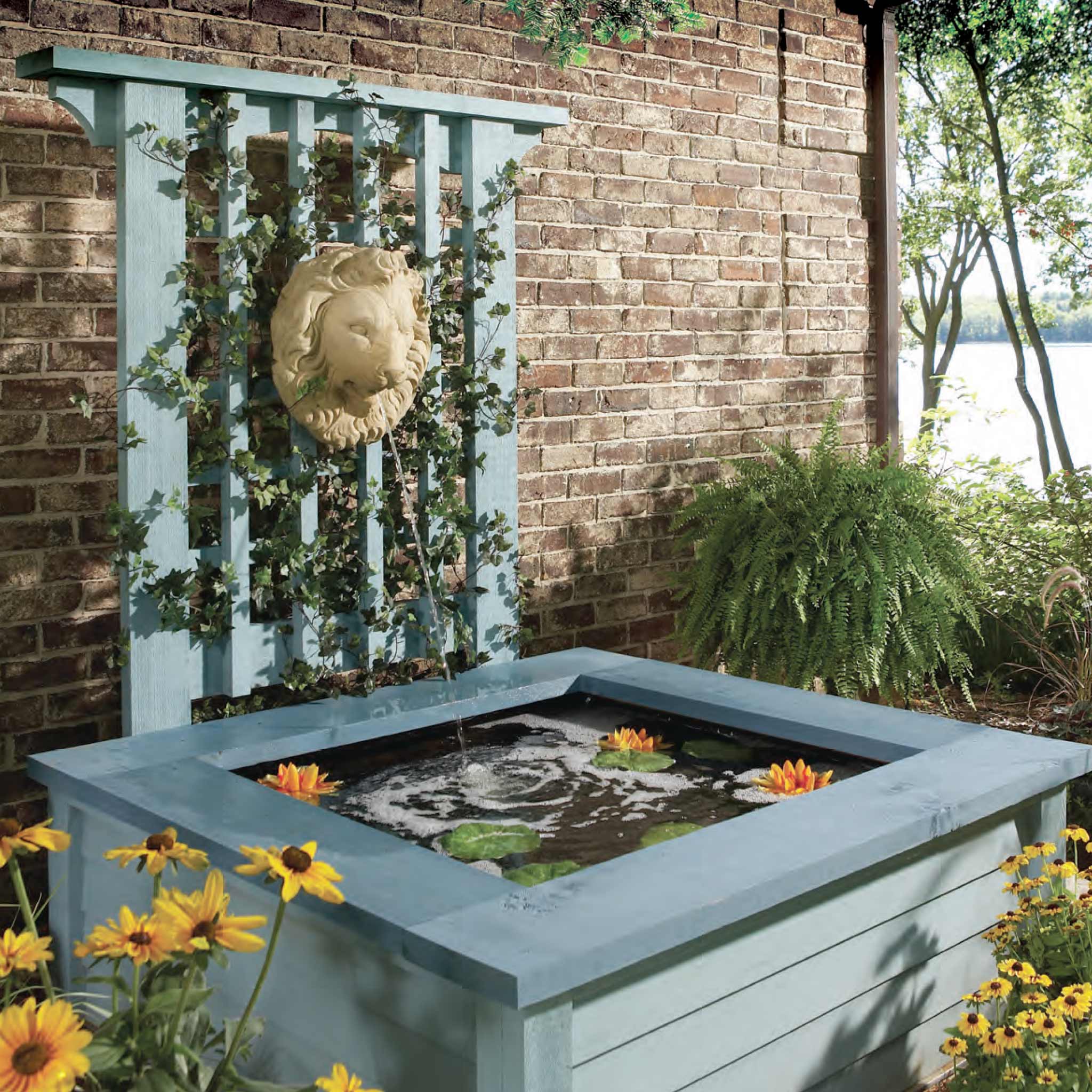 Pond in a Box - Image 2