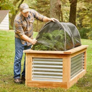 Alternative view of Raised Garden Beds