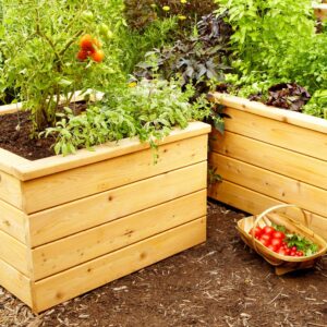 Alternative view of Self Watering Planter