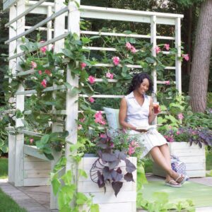 Alternative view of Summer Sanctuary Trellis & Benches
